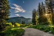 A body was reported near a narrow trail in the Sam Houston National Forest. (Image via Pexels)